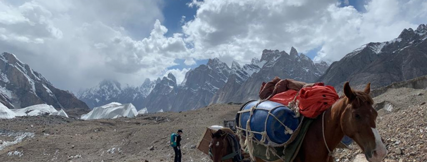 Mules and trekkers on the trail to K2 base camp