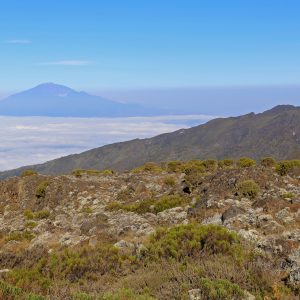 The view from Kilimanjaro's Shira Plateau