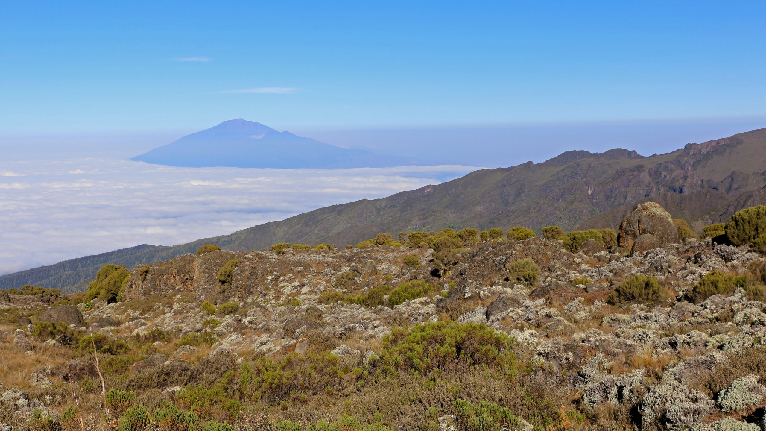 Trekkers on the Shira Plateau of Mount Kilimanjaro