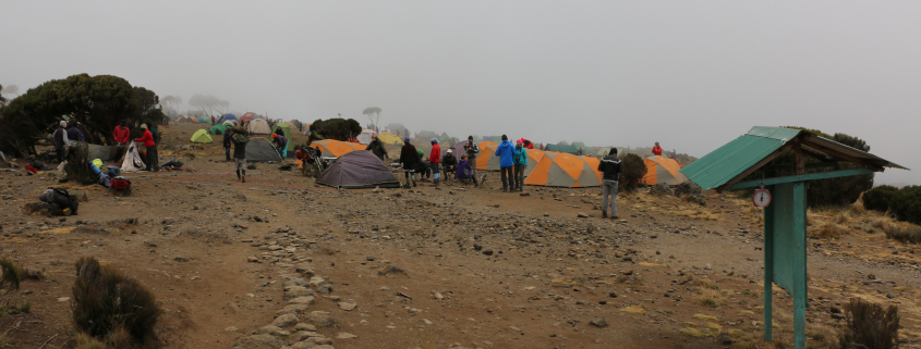 Kilimanjaro Shira Camp