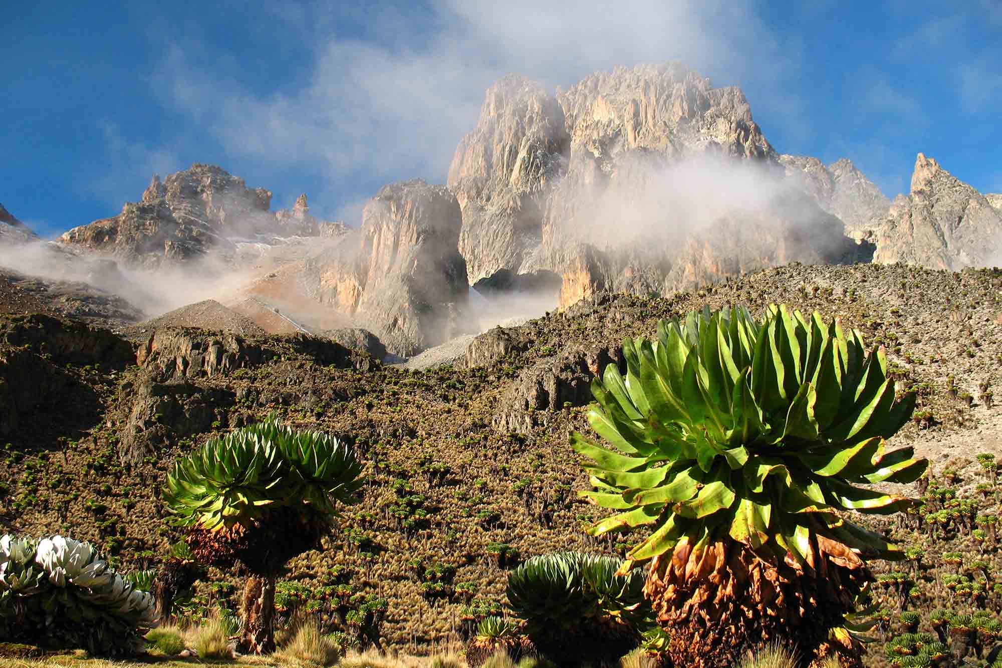 Mount Kenya Africa 5,199m / 17,057ft. Madison Mountaineering