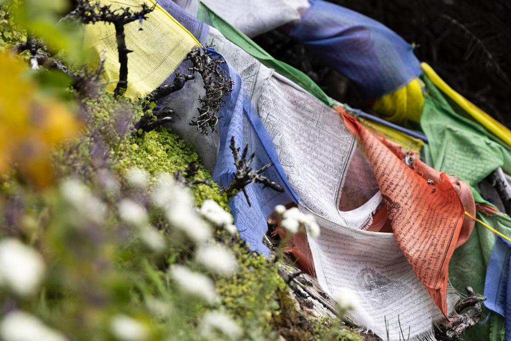 Prayer flags among foliage during the 2022 Madison Mountaineering Manaslu expedition. (📸: Terray Sylvester)