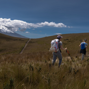 Our team on the approach to Pasochoa volcano (Photo by Estalin Suárez)