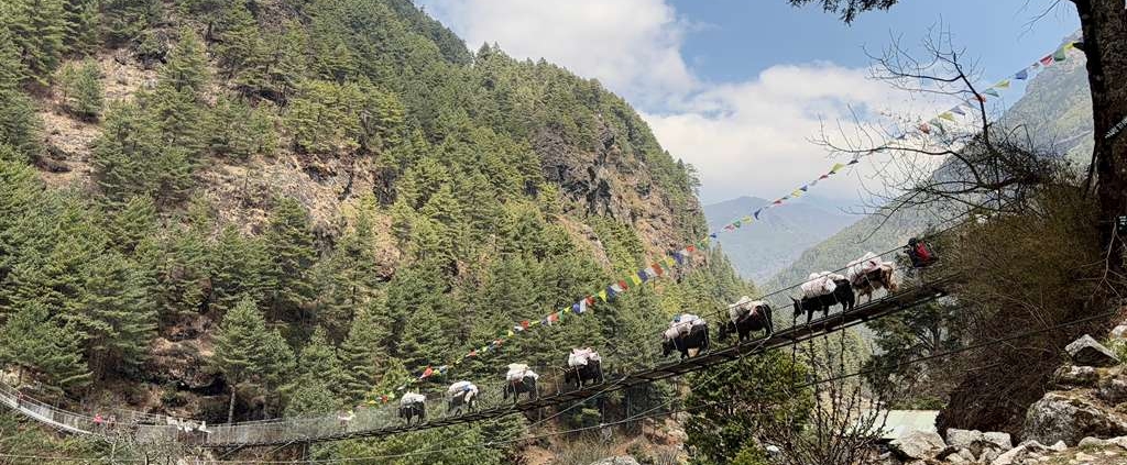 One of the many suspension bridges on the trail to Everest Base Camp!