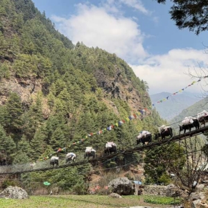 One of the many suspension bridges on the trail to Everest Base Camp!
