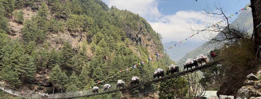 One of the many suspension bridges on the trail to Everest Base Camp!
