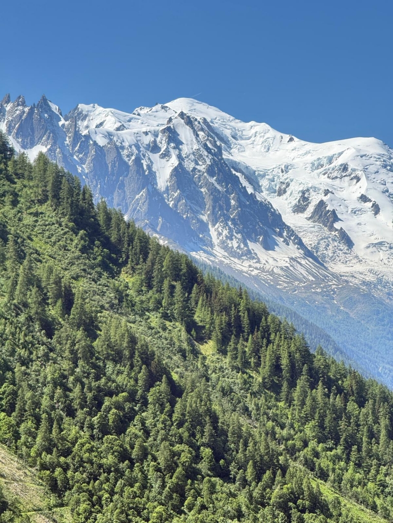Excellent views of Mont Blanc!